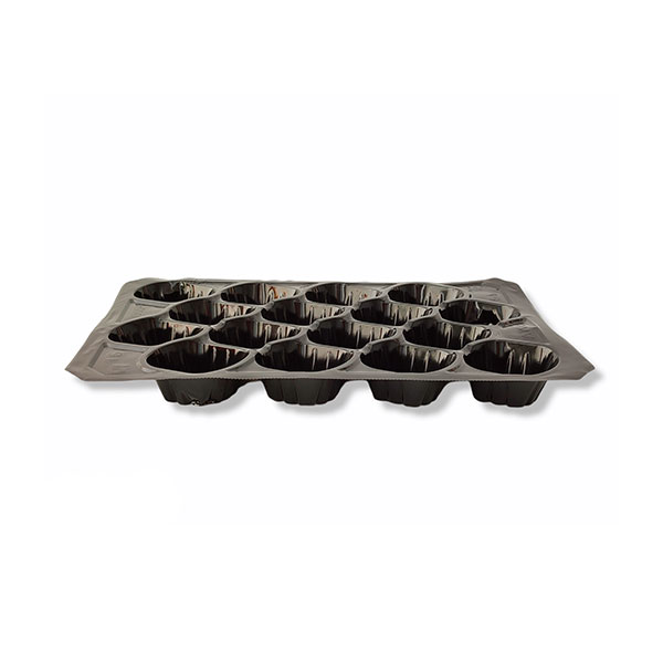 Alveolo-fruta-negro