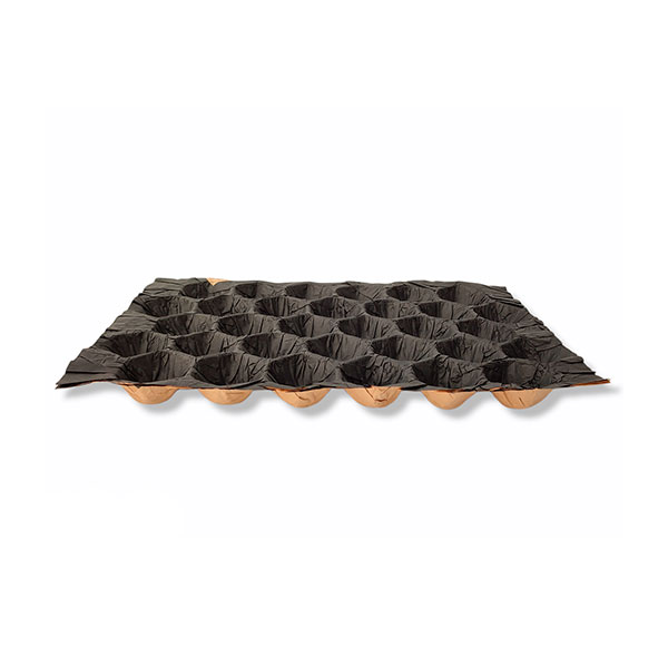 Alveolo-papel-negro
