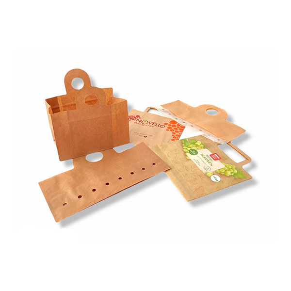 Bolsas-papel-frutas