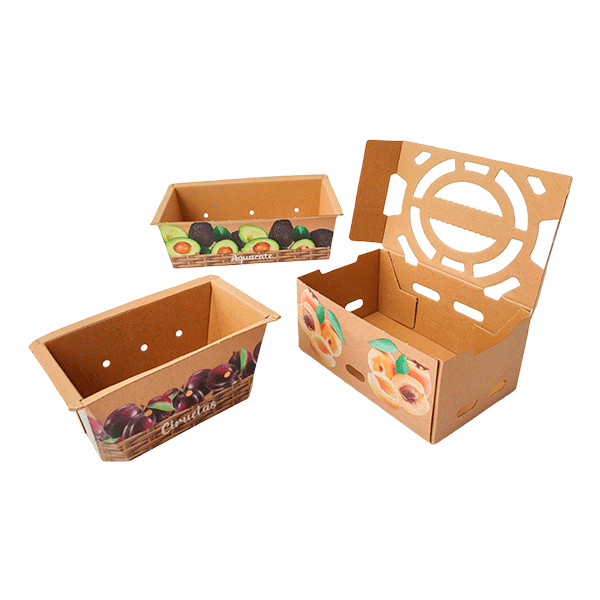 Cestas y bandejas para fruta